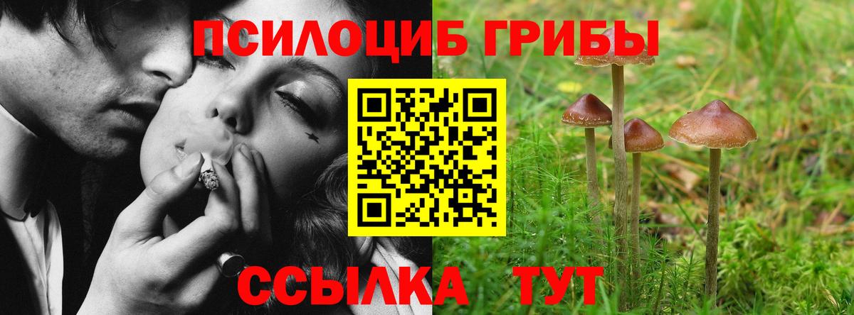 Галлюциногенные грибы мухоморы  Вход с VPN  Дятьково 